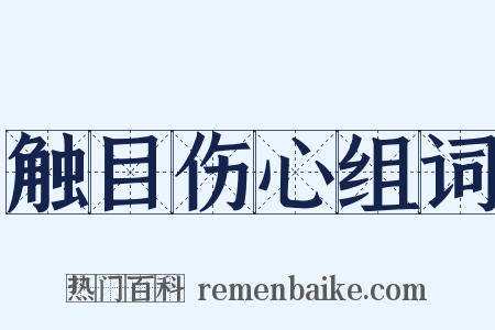 触目伤心组词是什么意思的图片